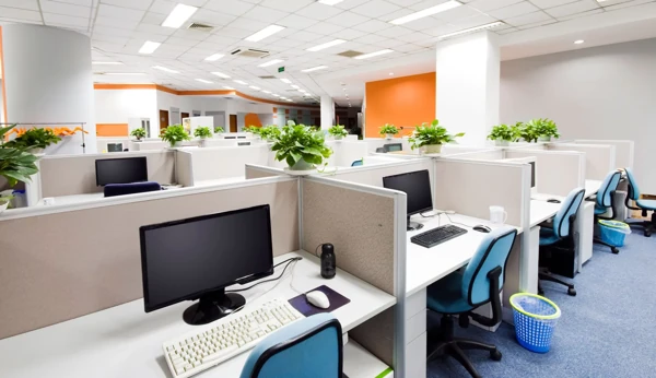 Painting Service For Office