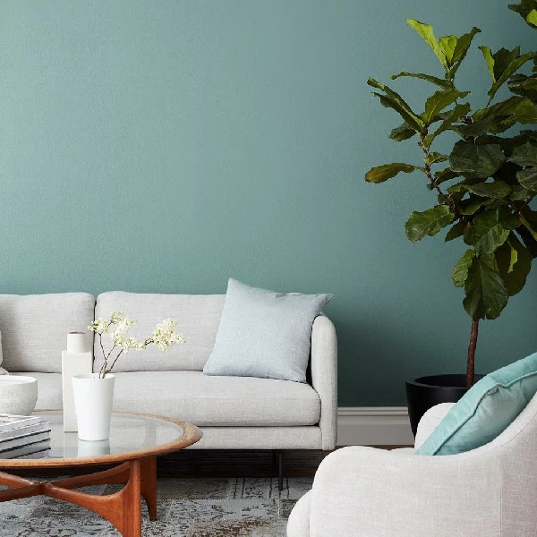 Hire us for the professional wall paint service in Dubai
